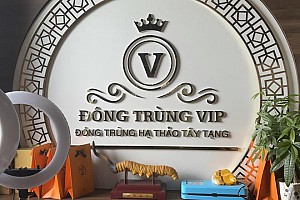 Lô đông trùng hạ thảo Tây Tạng hàng trăm con không rõ nguồn gốc